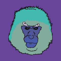 猿（monkey）