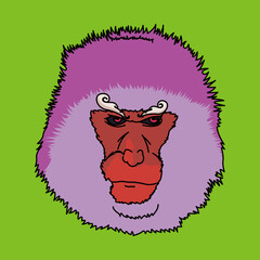 猿（monkey）