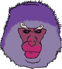 猿（monkey）(PNG)