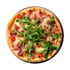 isolated pizza with varies species