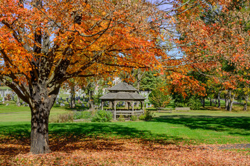 Autumn in the park in Newtown PA 