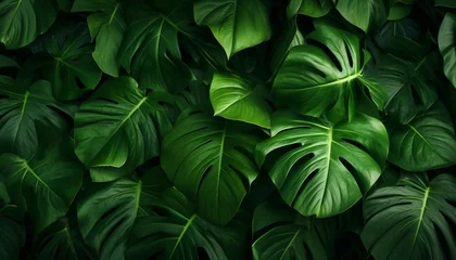 Foto op Plexiglas tropical leaves background top view, closeup nature view of green leaves background. Generative AI © Breyenaiimages