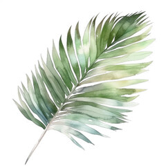 Watercolor Illustration of Greenery Tropical Leaf - Versatile for Wall Art and T-Shirt Design