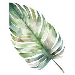 Watercolor Illustration of Greenery Tropical Leaf - Versatile for Wall Art and T-Shirt Design