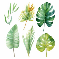 Fototapeta na wymiar Elegant Watercolor Illustration of Greenery Leaves Set - Botanical Art