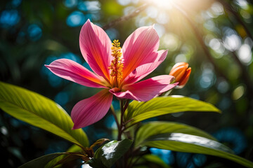 Fototapeta premium Lush Tropical Flowers in Jungle with Ethereal Bokeh Light