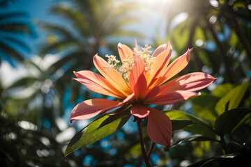 Lush Tropical Flowers in Jungle with Ethereal Bokeh Light