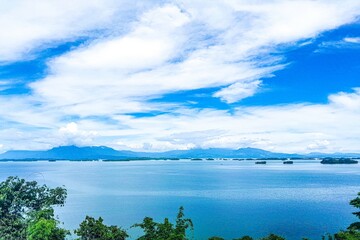 landscape view nature blue sky, river and tree green background.