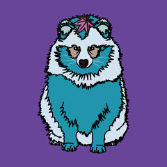 狸（raccoon dog）