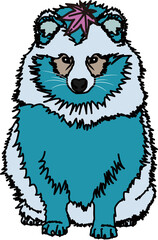 Fototapeta premium 狸（raccoon dog）(PNG)