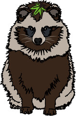 狸（raccoon dog）(PNG)
