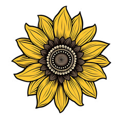 Fototapeta premium sunflower isolated on white
