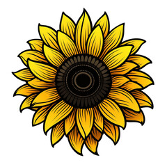 Fototapeta premium sunflower isolated on white background