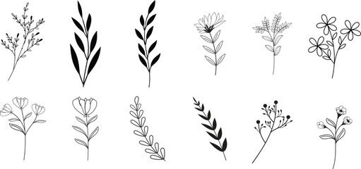 vector botanical abstract line art, hand-drawn herbs, flowers, leaves, and branches. - obrazy, fototapety, plakaty