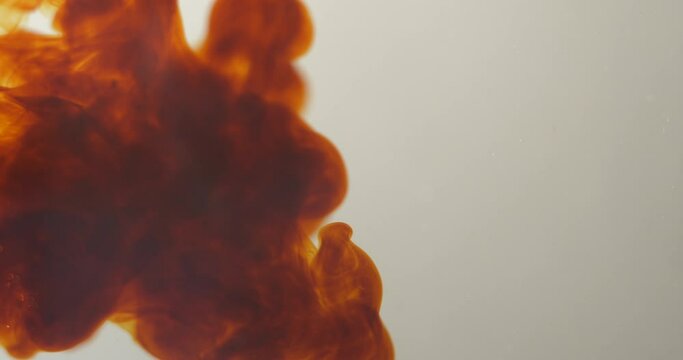 Red brown ink in water with white background, studio close up