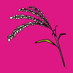 稲穂（Ear of rice）