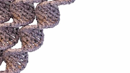DNA helix in the white background 3d rendering