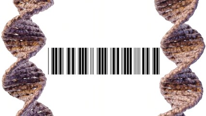 Isolated close up DNA helix and barcode 3d rendering