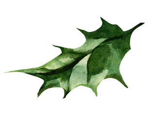 Naklejka premium Christmas green leaf watercolor illustration