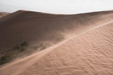 Tengger desert scenery, Inner Mongolia, China