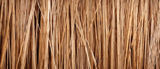 Dry reed straws texture as backdrop