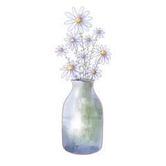 daisies in vase watercolor isolated transparent background