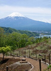Fototapeta na wymiar 日本観光　富士山　山中湖サイクリング