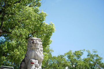 Fototapeta premium 狛犬と新緑と青空