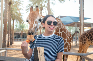 Fototapeta premium Cute young Chinese woman is feeding giraffe in the Zoo