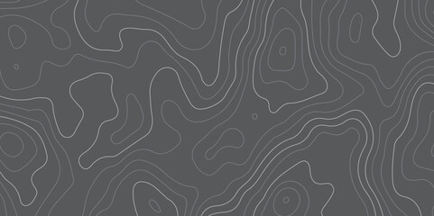 Black and white wavy abstract topographic map contour, lines Pattern background. Topographic map and landscape terrain texture grid. Wavy banner and color geometric form. Vector illustration.