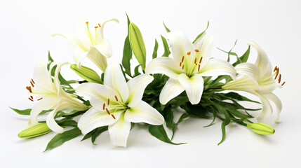 Fototapeta na wymiar Easter Lily flowers on white background