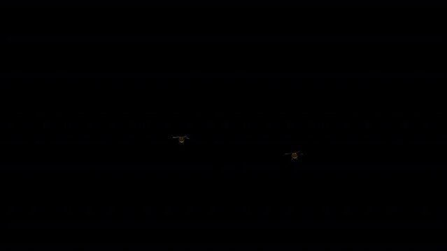 Two Bumble Bees - Flying Around Screen - Transparent Loop - Alpha Channel