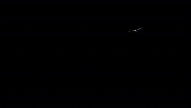 Dragonfly - Flying Around  - Transparent Loop - Realistic 3D animation isolated with alpha channel