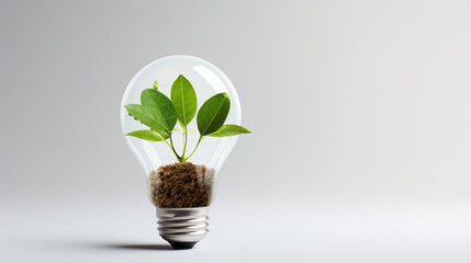 Fototapeta na wymiar Energy saving light bulb and plant on white background