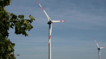 Low angle footage of the working wind turbines and green plants under the blue sky on a sunny day