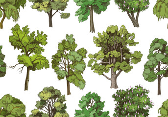 Seamless pattern with hand drawn deciduous trees
