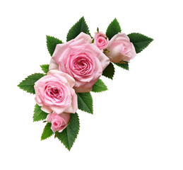 Pink rose flowers with green leaves in a floral corner arrangement isolated on white or transparent background