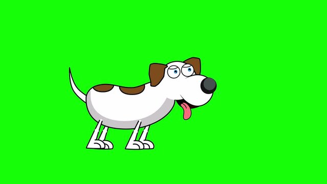 funny cartoon dog stands waving tail and sticking out his tongue waiting for bones green screen background