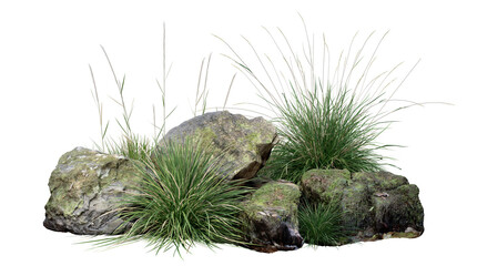3d rendered a group of rocks with grass growing out of them on a white background with clipping path.