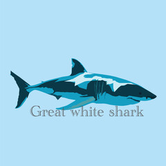 great white shark vector illustration with lettering on blue background