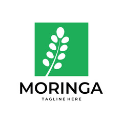 Moringa leaf logo vector simple illustration template icon graphic design
