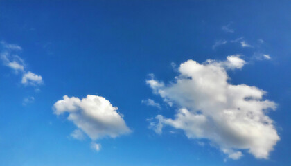 Cumulus Artistry in the Beautiful Sky