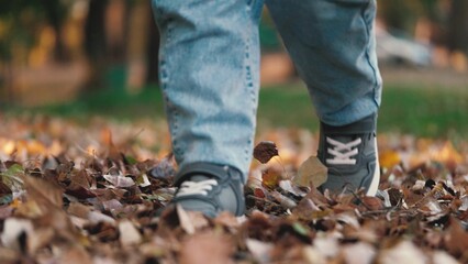 Legs of little boy stroll along path covered with vibrant carpet of fallen leaves