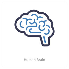 human Brain