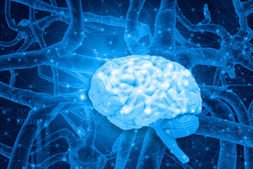 Human brain and neuron network . 3d illustration..