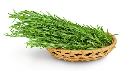 Rosemary twig and leaves in a wicker basket isolated on white background