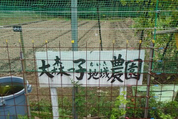Obraz premium Iwami Ginzan, silver mining site, World Heritage Site, Shimane, Japan