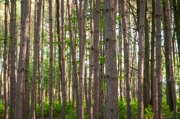 Jamestown Audubon Center and Sanctuary