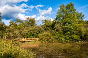Wetlands at Jamestown Audubon Center and Sanctuary