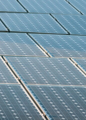 Jamestown Audubon Center and Sanctuary